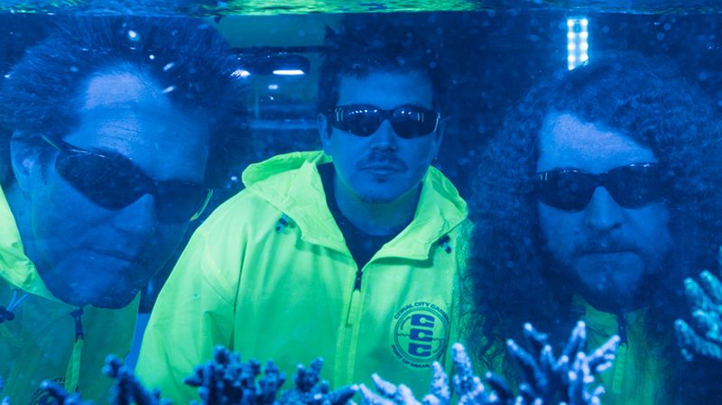 Nick León & Coral Morphologic