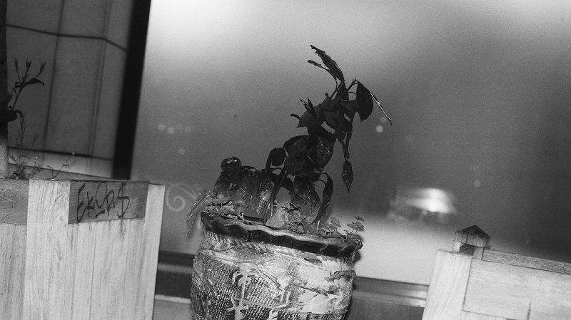 The Early Bird Show w/ PAM