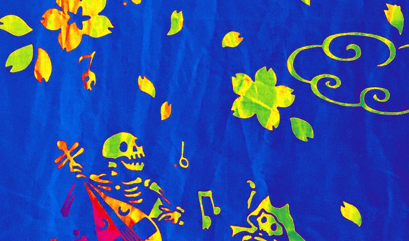 The Head Zone w/ Ripley Johnson