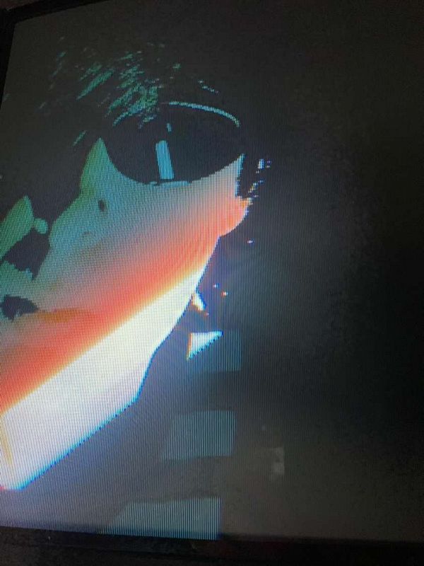 Machines of Loving Grace w/ Black Thumb