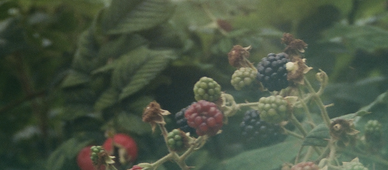 Ambient Abracadabra w/ Sofie Birch