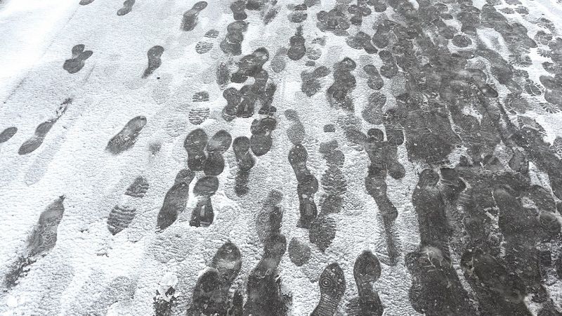 Metamorphosis W/ JYFL