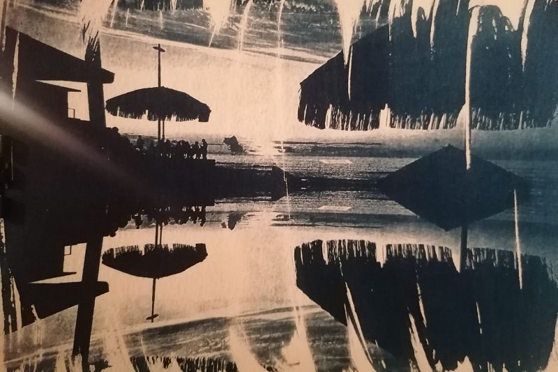 Don't chase Butterfly W/ Souladybug