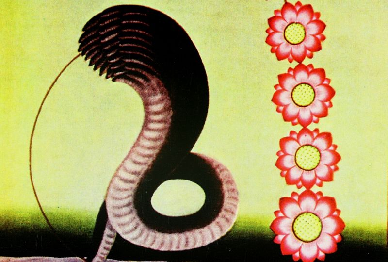 Carolina Soul - Classic Soul Special