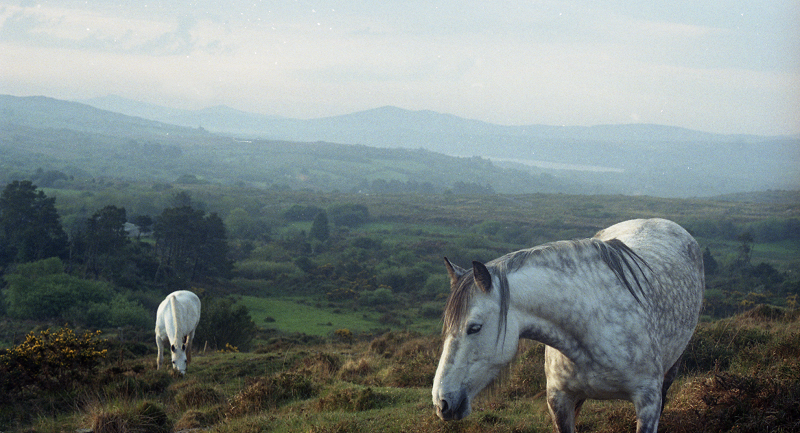 Posh Isolation w/ Vanessa Amara