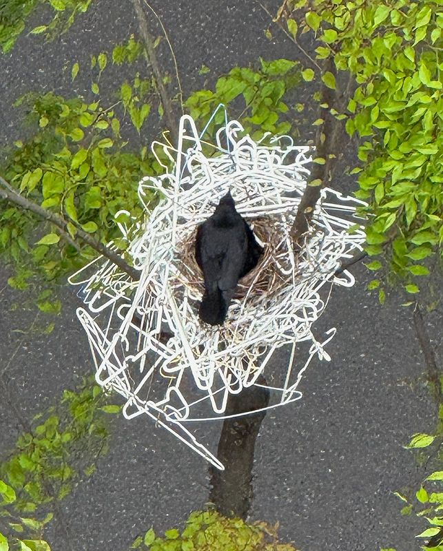 Foodman w/ yusuke uchida