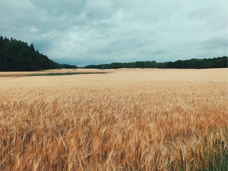 The longest path w/ Erik++