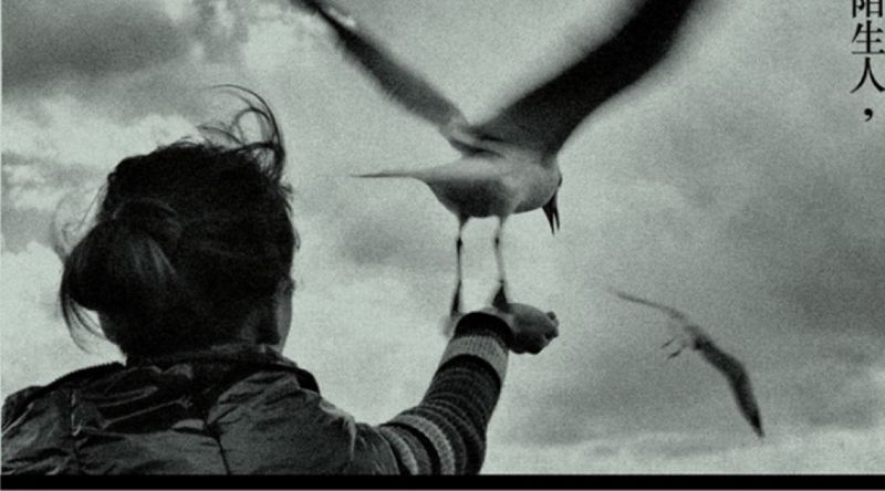 In Focus: 亲爱的艾洛伊丝 Dear Eloise