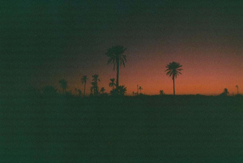 Shakshouka w/ Madame Ghorbelle