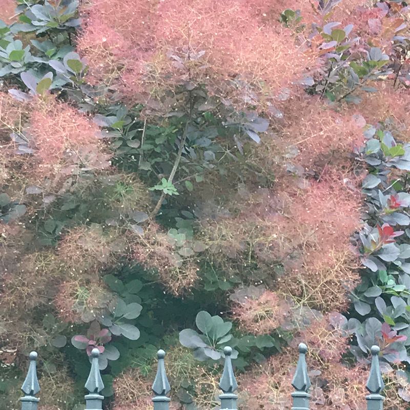 A Month of Sundays w/ Bill Spencer