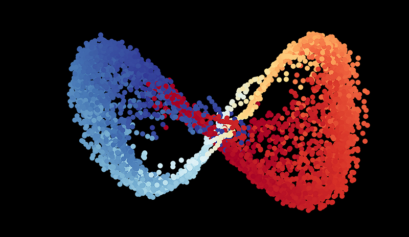 Circle Packing w/ Occo