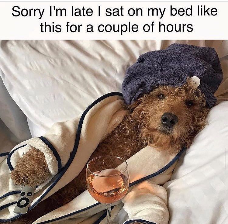 dreamcastmoe live at Public Records