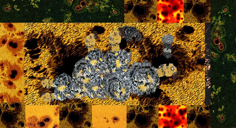 Zel Zele w/ Ecevit & Jengiz 