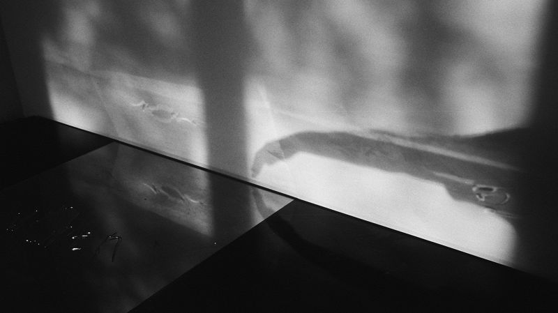 Felisha Ledesma w/ Dania