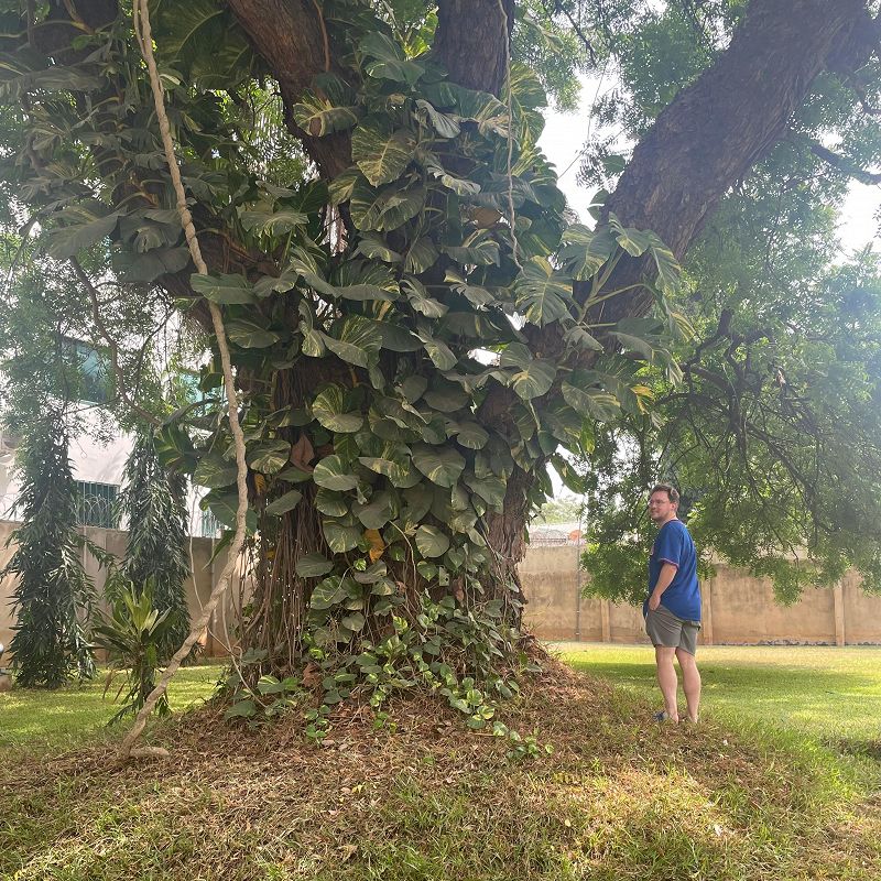 The One Glove Breakfast Show w/ Macca