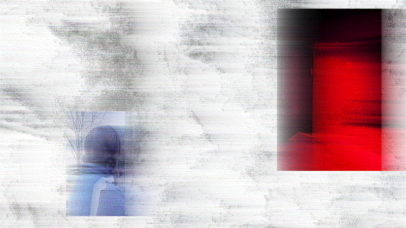 back walk dog w/ 10 sleep WY