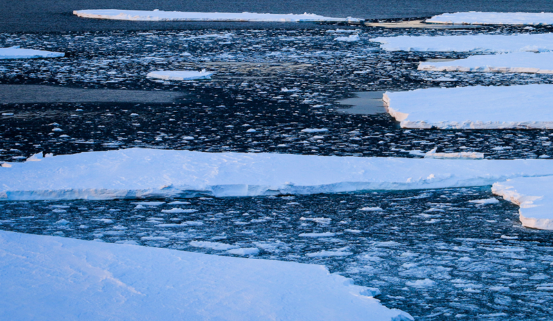 Circle Packing w/ Occo