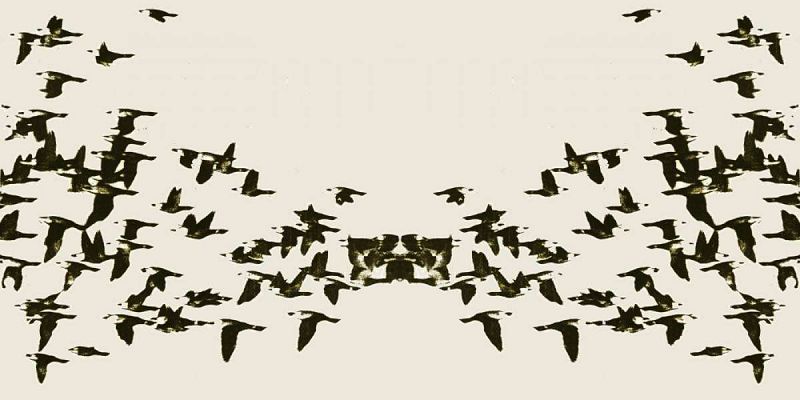 The Cosmic Principle w/ Glorias Navales