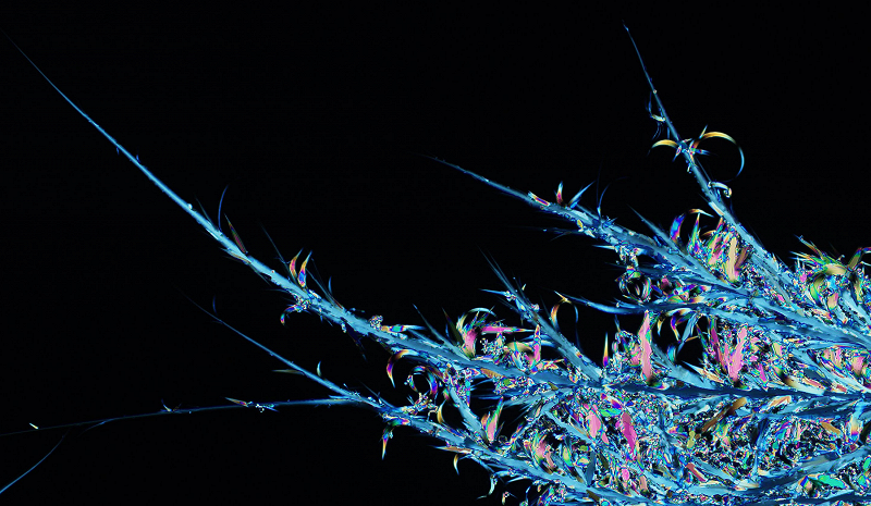 Circle Packing w/ Occo