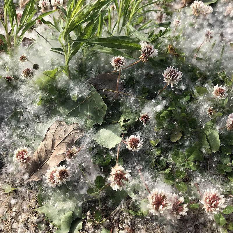 A Month of Sundays w/ Bill Spencer