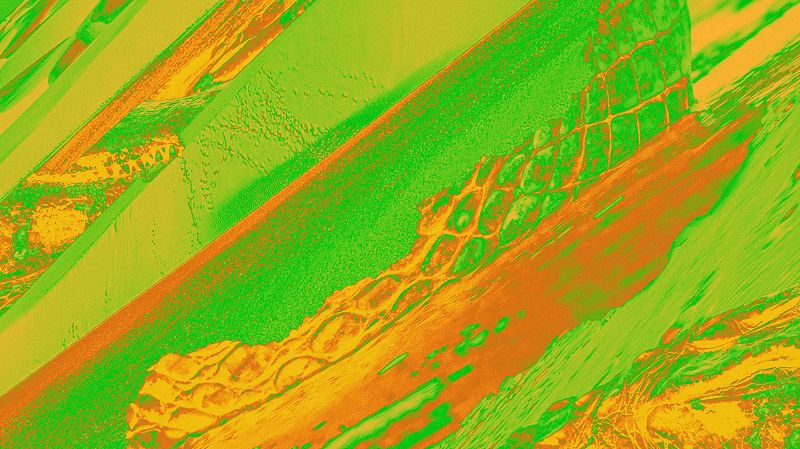 ONDAS W/ Ryosuke Yoshimura 