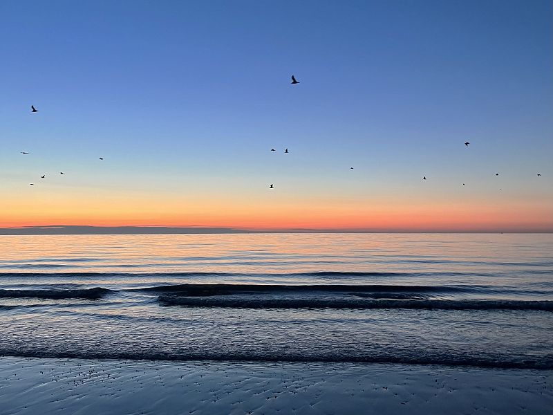 Parting Gift w/ Janset Yasar