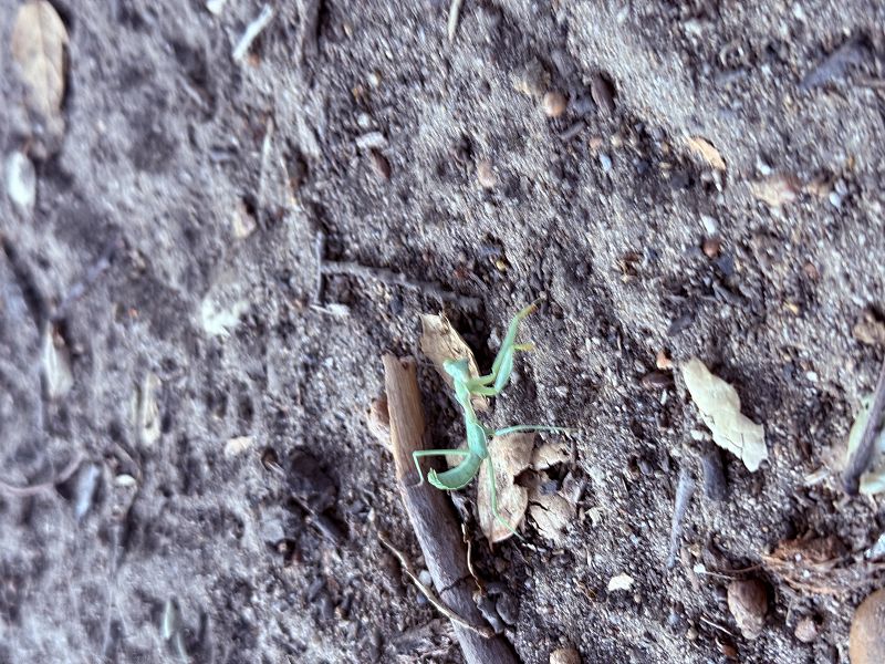 Spaces In Between w/ Introspekt