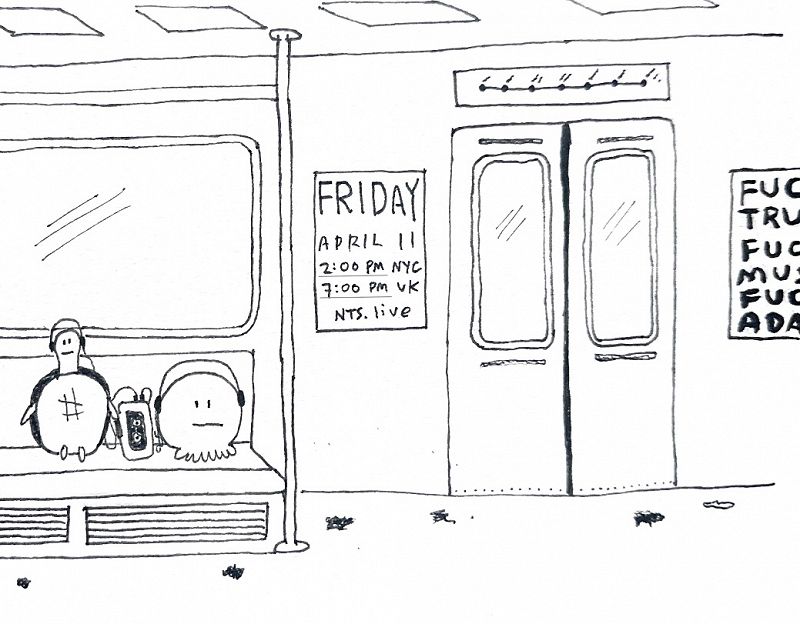 James McNew (YO LA TENGO)