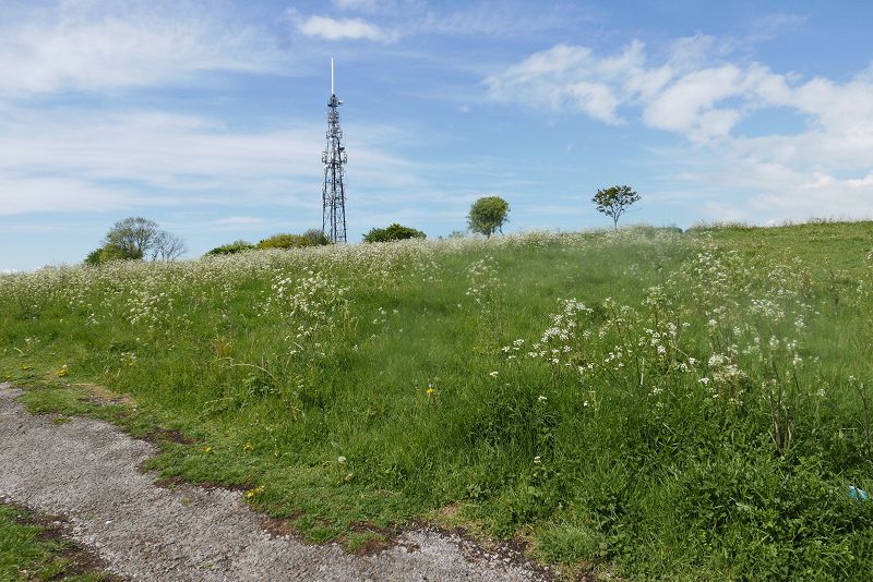 Phil's Jazz Dis-Junction