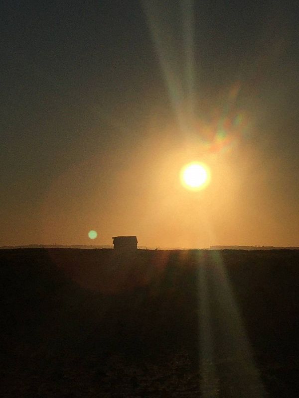 All Styles All Smiles