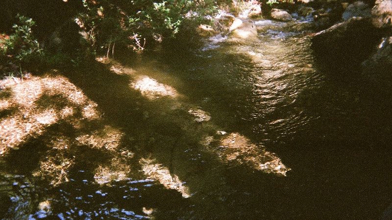 Music From My Journal Upon Waking w/ Pacific Bell 