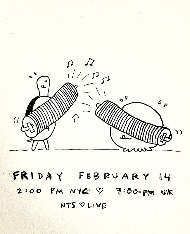 James McNew (YO LA TENGO)