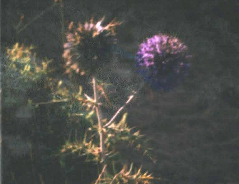 Palestinian Sound Archive w/ Suhayr Shaqayr, Samih Shaqayr, George Qurmuz, Sabreen and Al Fajer (The Dawn)