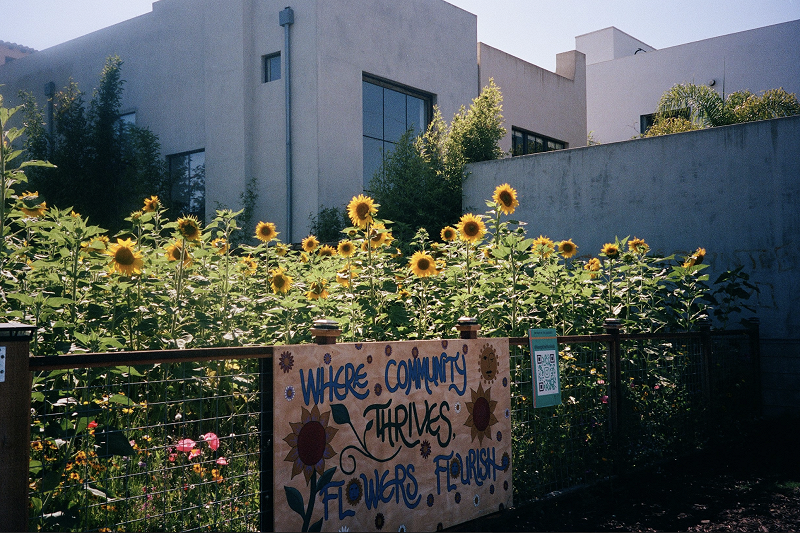 Spring's Buds Shake w/ Marian Castro