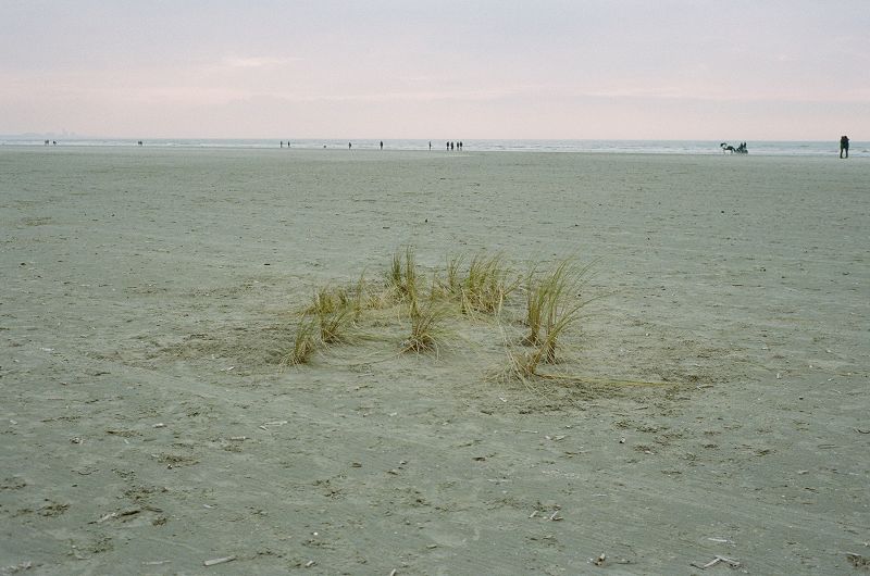 At The Head of Inevitability