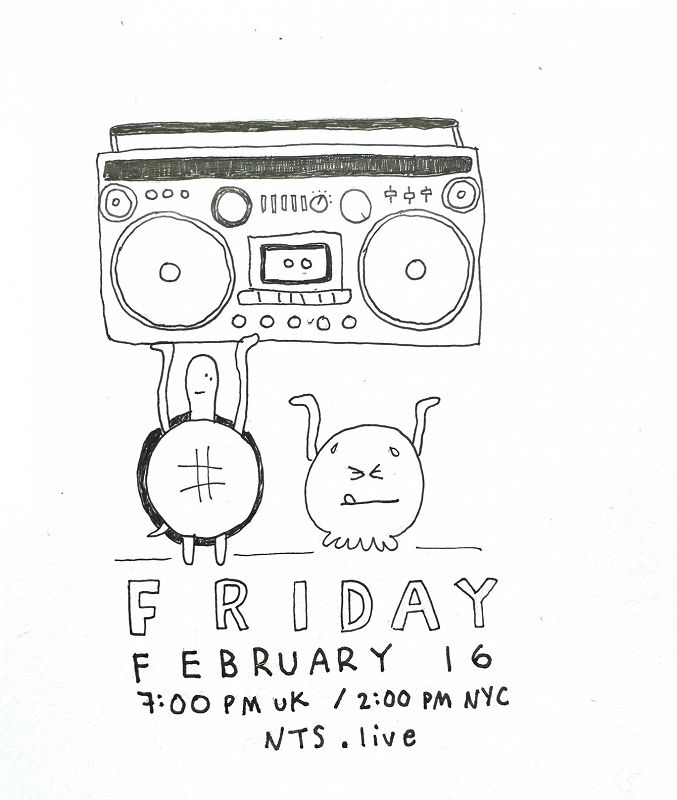 James McNew (YO LA TENGO)