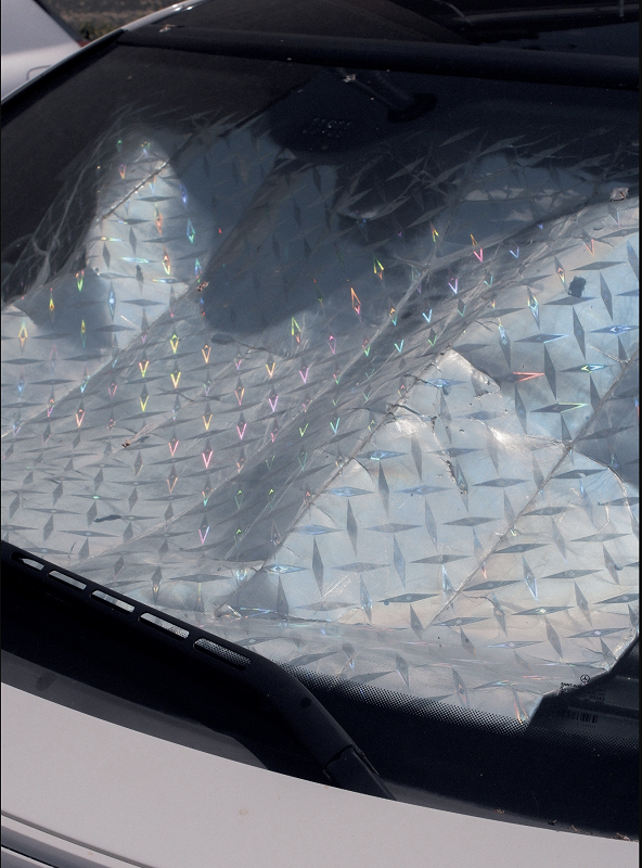 Forager Records W/ Kid Pesce