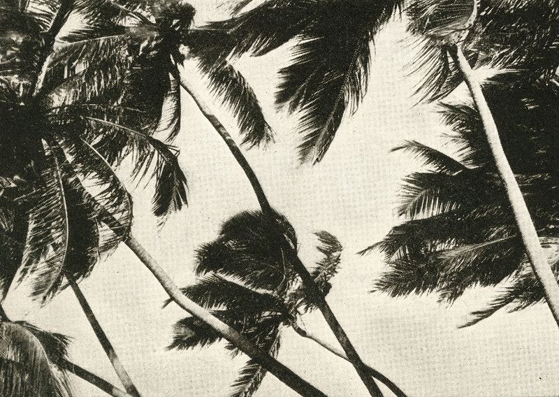 Machines of Loving Grace w/ Midwife