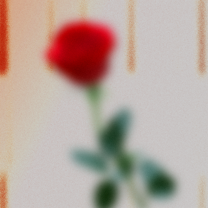 A Strange Attractor w/ Fortuna Records