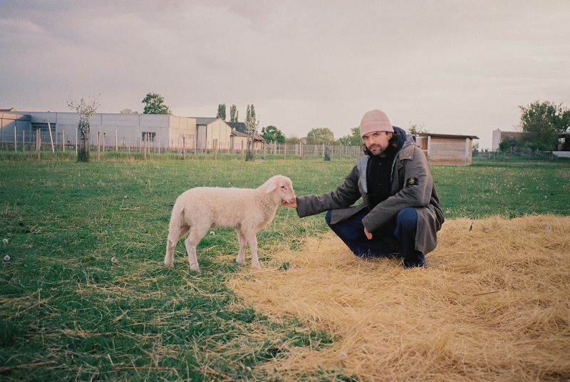 Brain Zaps W/ Ladonna