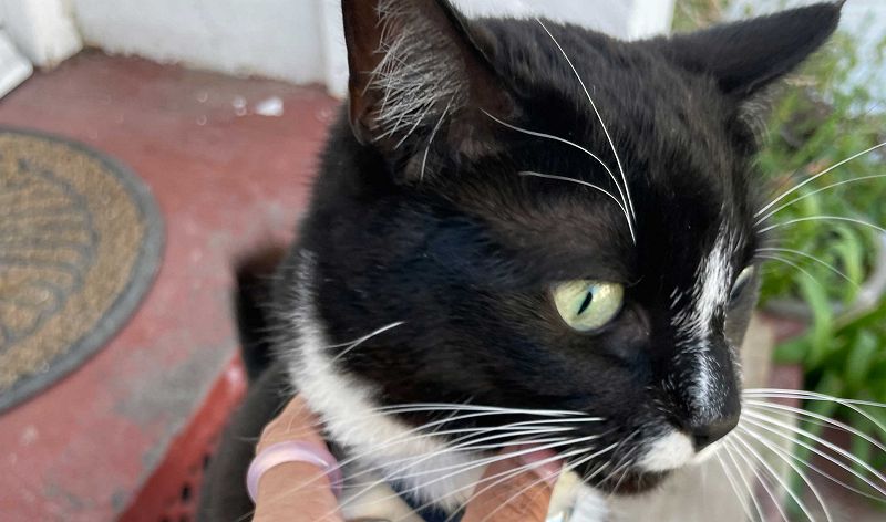 Underground & Black w/ Ash Lauryn