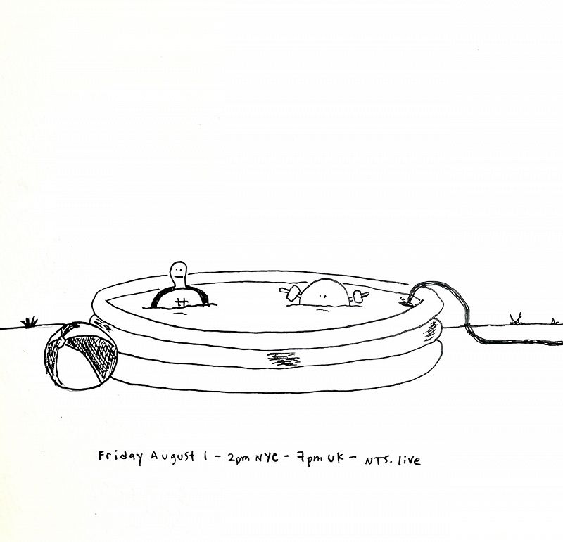 James McNew (YO LA TENGO)