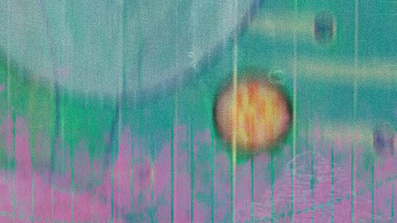 Bhavisha Panchia & John Peffer