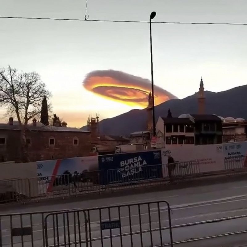 Blooming In Filth w/ CRISIS ACTING