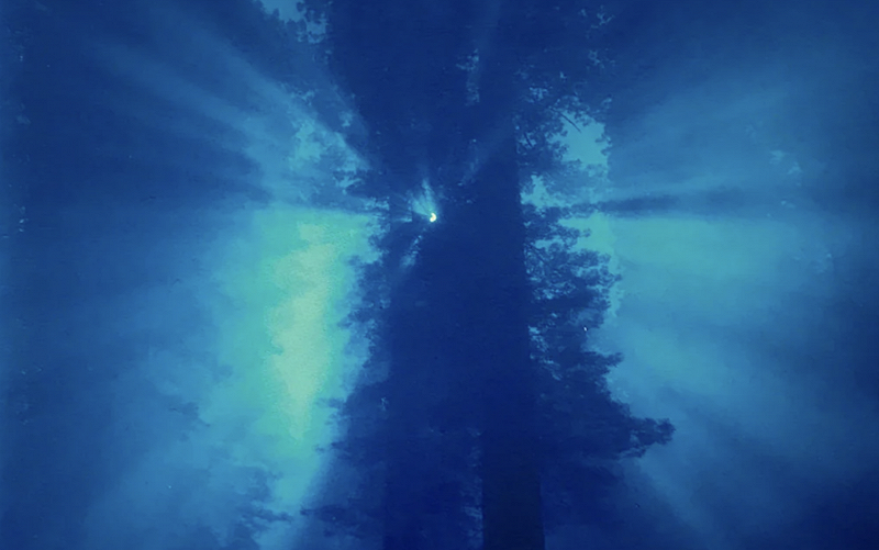 NTS Guide to: Japanese New Age and Environmental Music