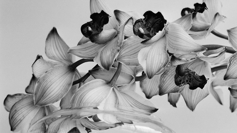 The Early Bird Show w/ PAM