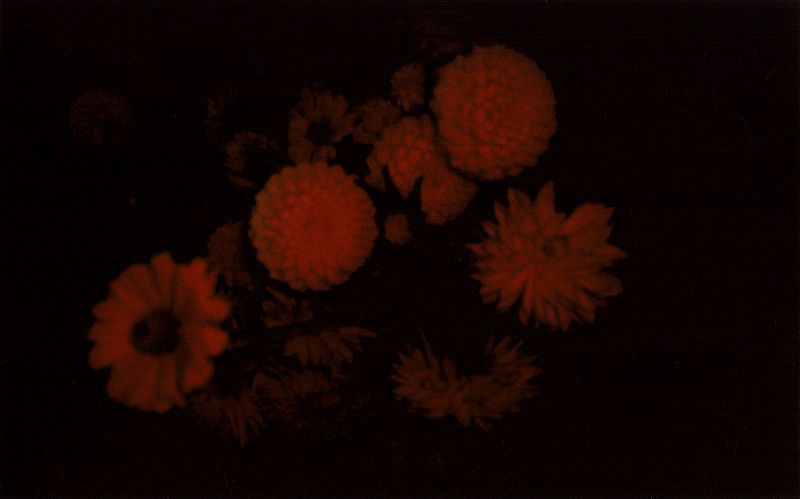 A Month of Sundays w/ Bill Spencer