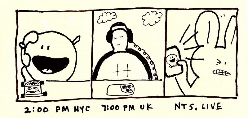 James McNew (YO LA TENGO)