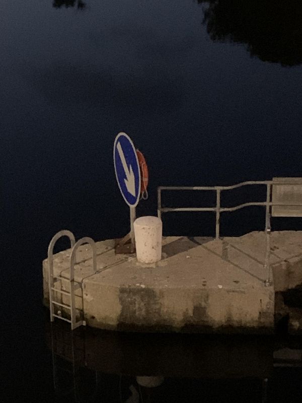 Back to East W/ Talipes