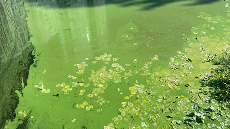 CXEMA w/ Nastya Muravyova